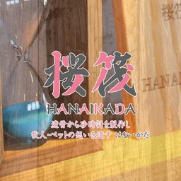 桜筏（HANAIKADA）