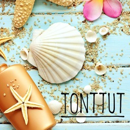 TONTTUT