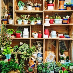Plant＆Craft