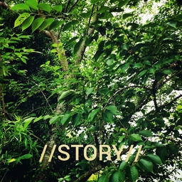 //STORY//