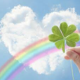🍀Ｋ．Ｎ🍀