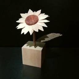 花咲かゆーき