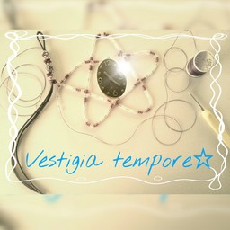 Vestigia tempore☆