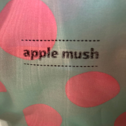 apple  mush