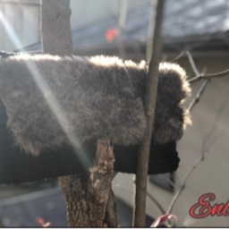 Enlien エンリヤン