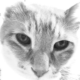 はなむぐり