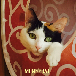MUGI☆CAT