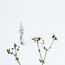 moritzphoto