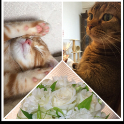 ＊floweraroma＊