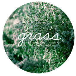 grass