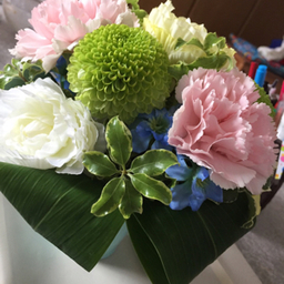 bloomjunjun