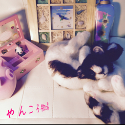 にゃんころ牧場