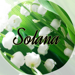 solana＊