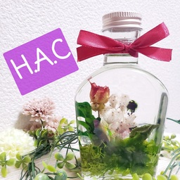 H.A.C