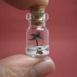 tinyworldinabottle