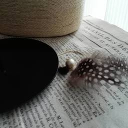 mikii