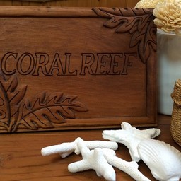 coralreef
