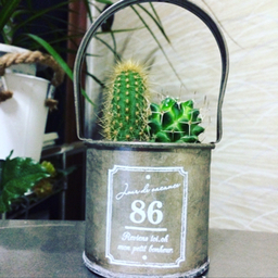 spring-86