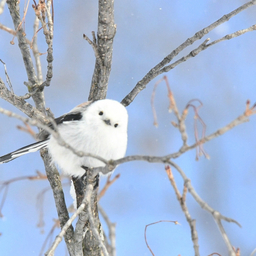 ハンドメイド苫小牧