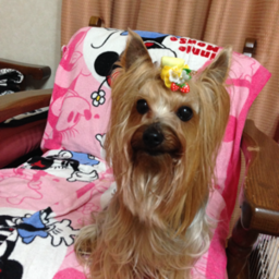 princess703