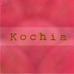 Kochia