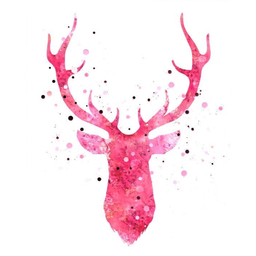 Mrs.Deer
