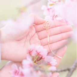 Sora
