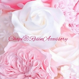 Chapi❀ResinAccessory