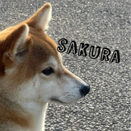 shop～sakura〜