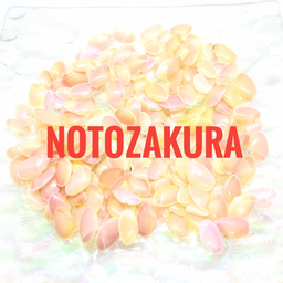 NOTOZAKURA