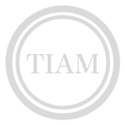 tiam-ribbon