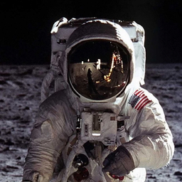 moon picnic