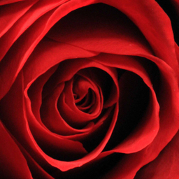 彩幸雛（あさひ)