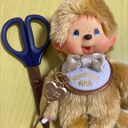 rinchhichi
