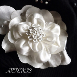 artemis33