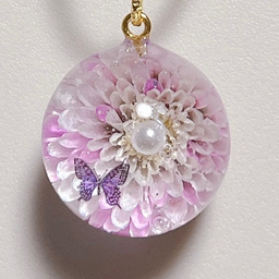 maimomo (マイモモ）