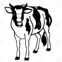 cows_moo