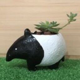 MOSSBALL