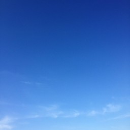 かずみんとゆき