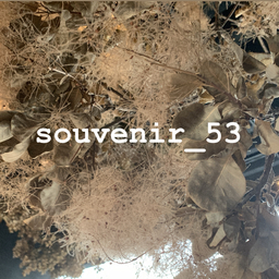 souvenir_53