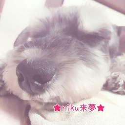 ★riku36★