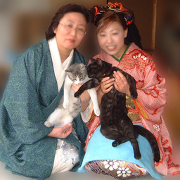 猫のプーさん