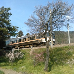 橋元　香良