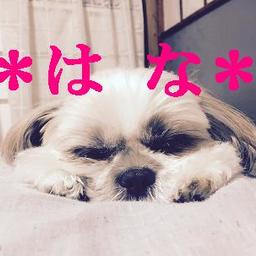 ＊はな＊