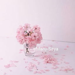 sayaka.