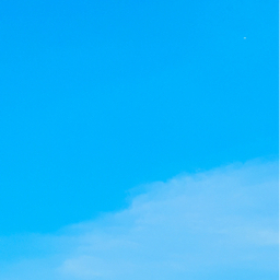 ひな