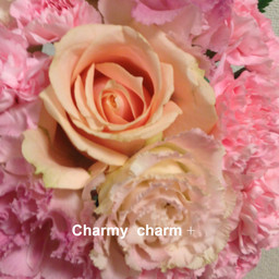 Charmy charm+
