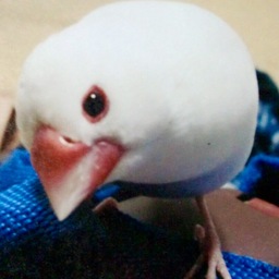 hirofuku