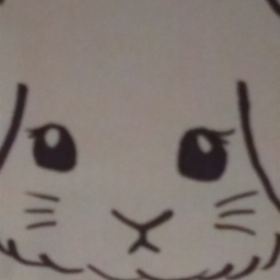 daiconusagi