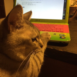 うさねず